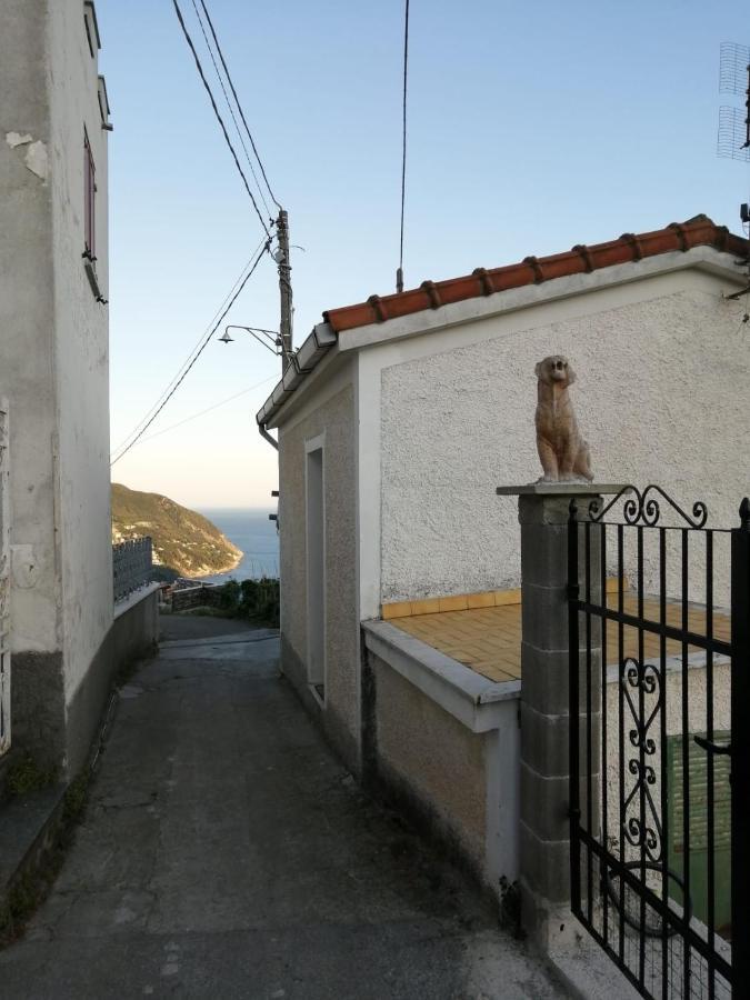 Sentieri Sul Mare