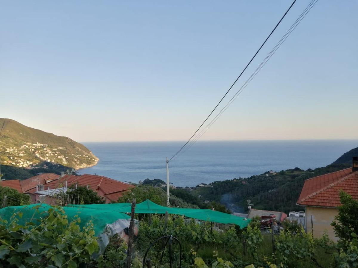 Sentieri Sul Mare * Moneglia